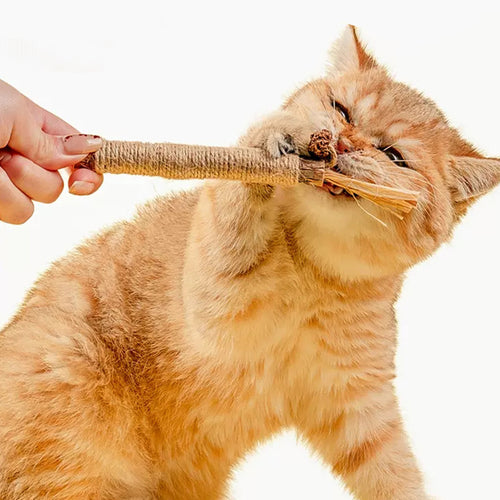 ChewLeaf Natural Cat Dental Sticks