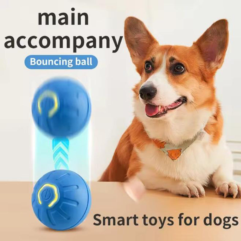 SmartPlay Interactive Pet Ball