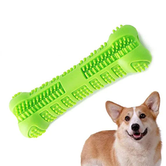 DentalChew Rubber Toothbrush Toy