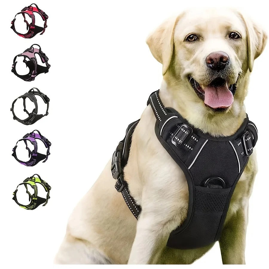 UrbanFit Harness & Leash Set