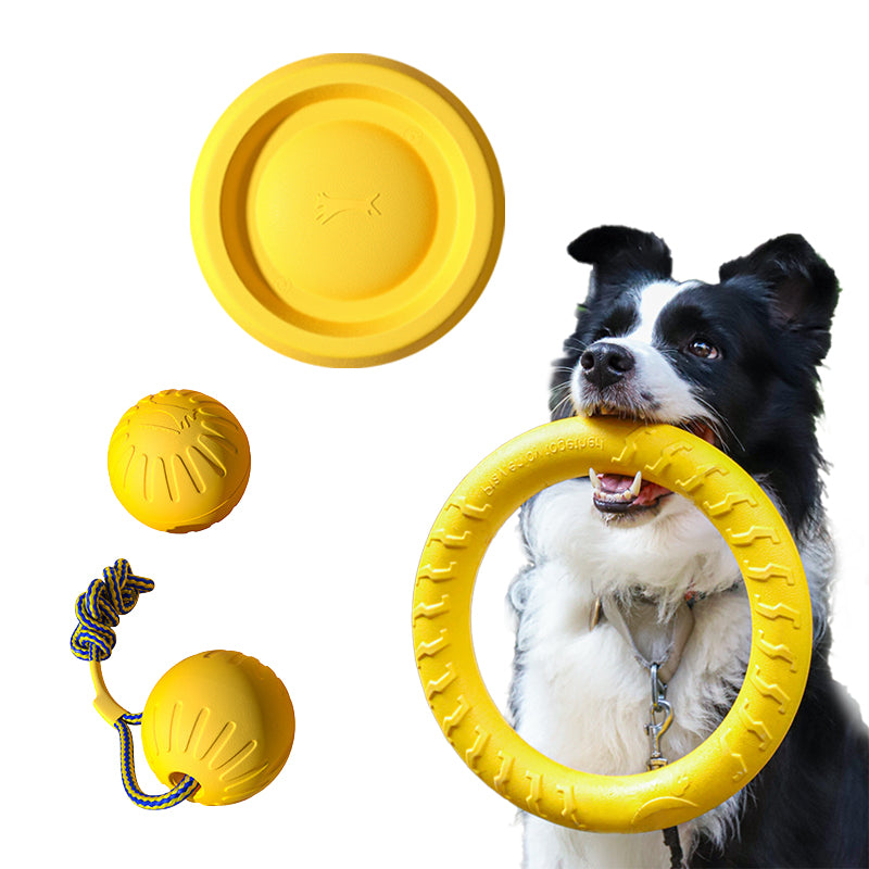 PowerChew EVA Dog Toy Set