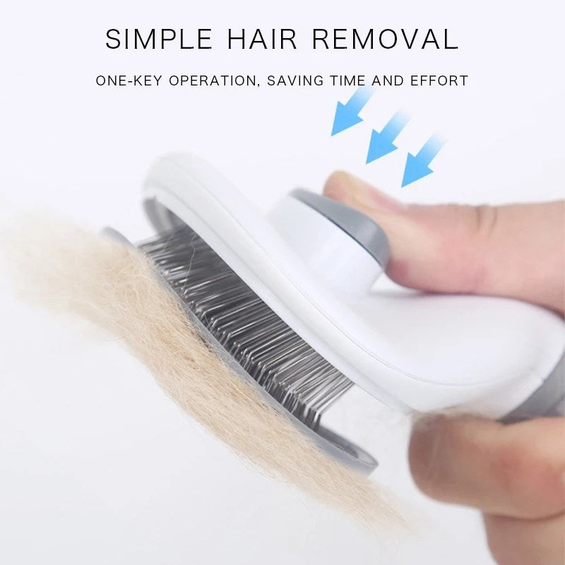 CloudCare Self Cleaning Brush