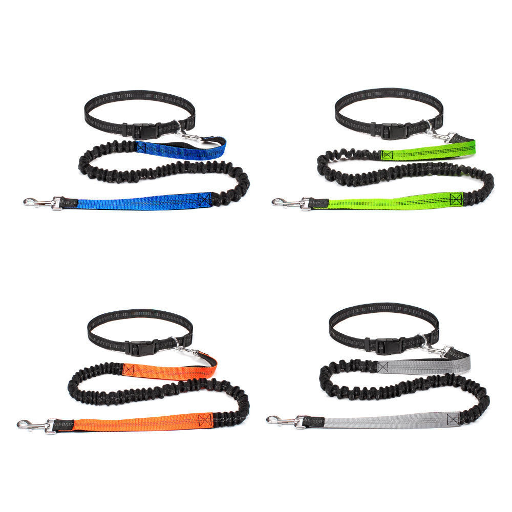 FreeStride Hands-Free Dog Leash