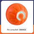 SmartPlay Interactive Pet Ball