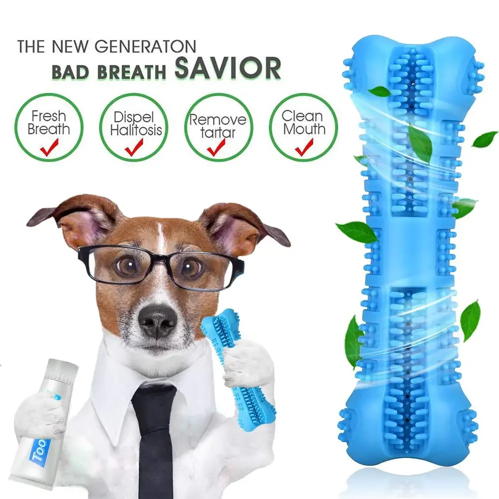 DentalChew Rubber Toothbrush Toy