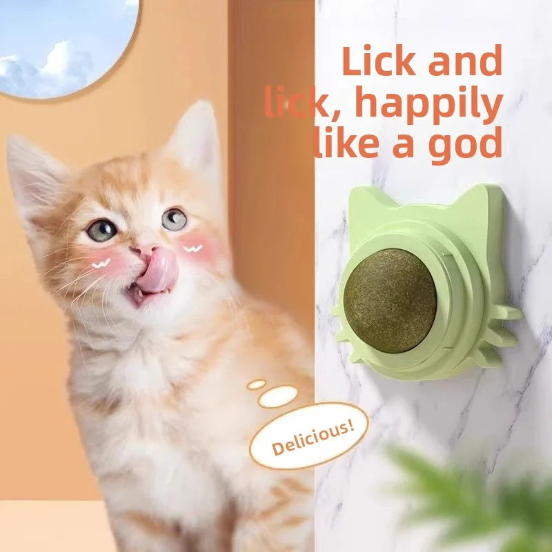 WallSpin Catnip Toy