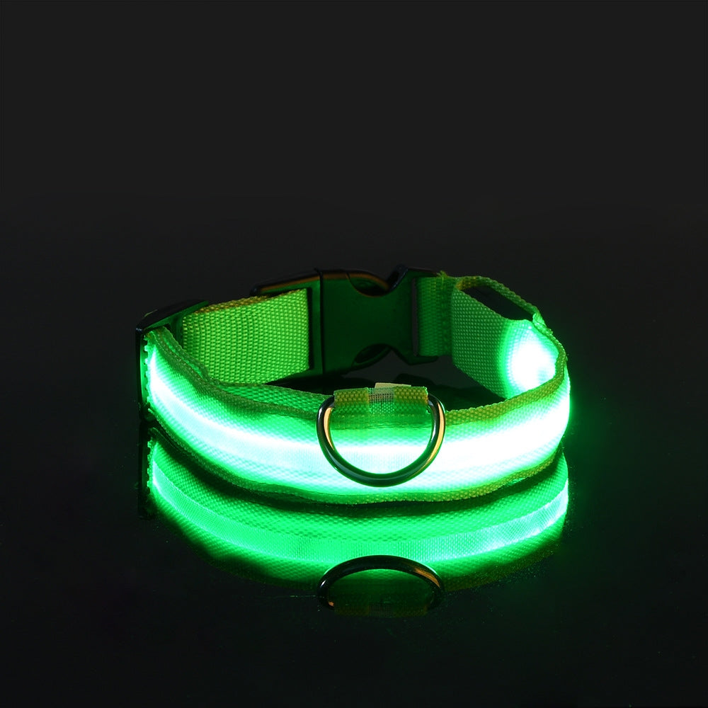 GlowGuard LED Safety Leash & Collar