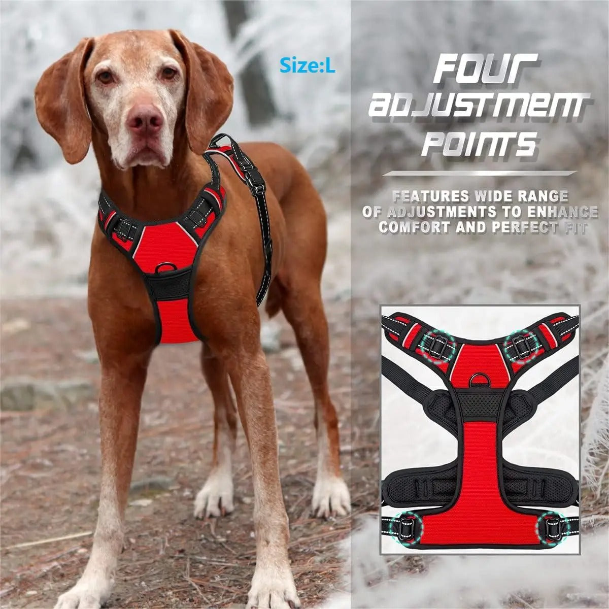 UrbanFit Harness & Leash Set