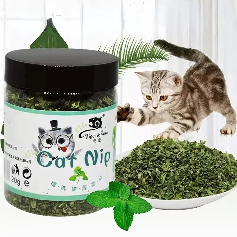 GrassJoy Catnip Chew Toy