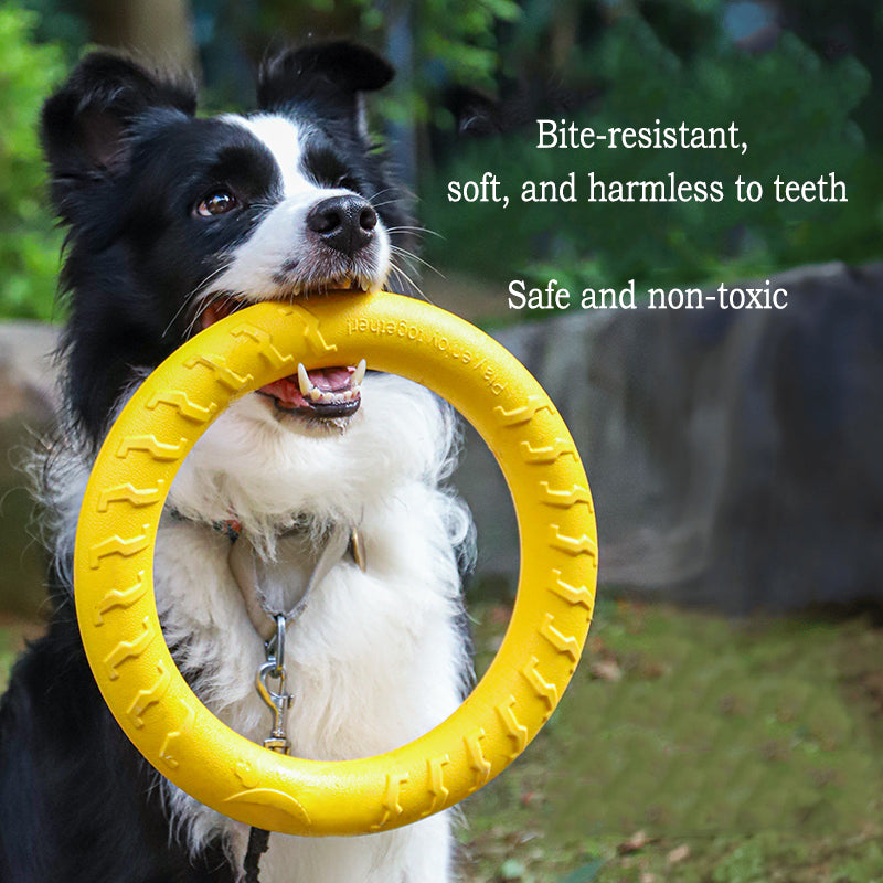 PowerChew EVA Dog Toy Set