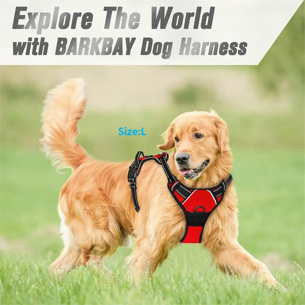 UrbanFit Harness & Leash Set