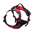 UrbanFit Harness & Leash Set
