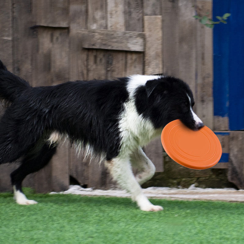 SkyBounce Silicone Flying Disc