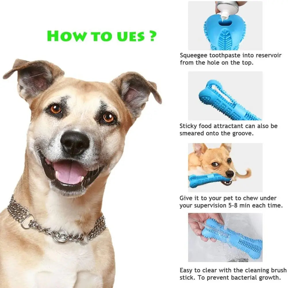 DentalChew Rubber Toothbrush Toy