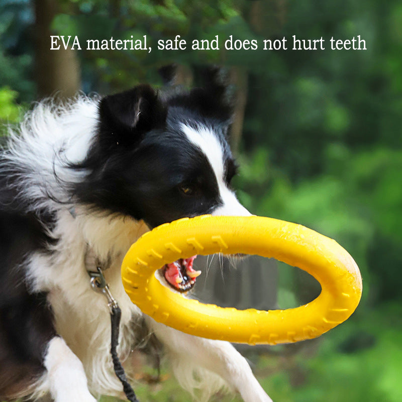 PowerChew EVA Dog Toy Set