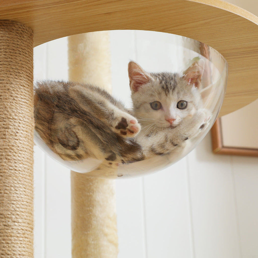 PlayHaven Multi-Level Cat Tree