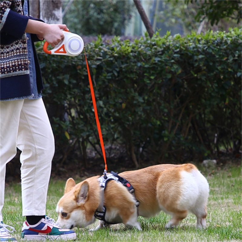NightGuard LED Retractable Leash
