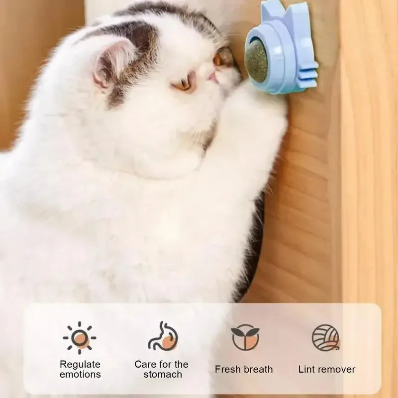 WallSpin Catnip Toy