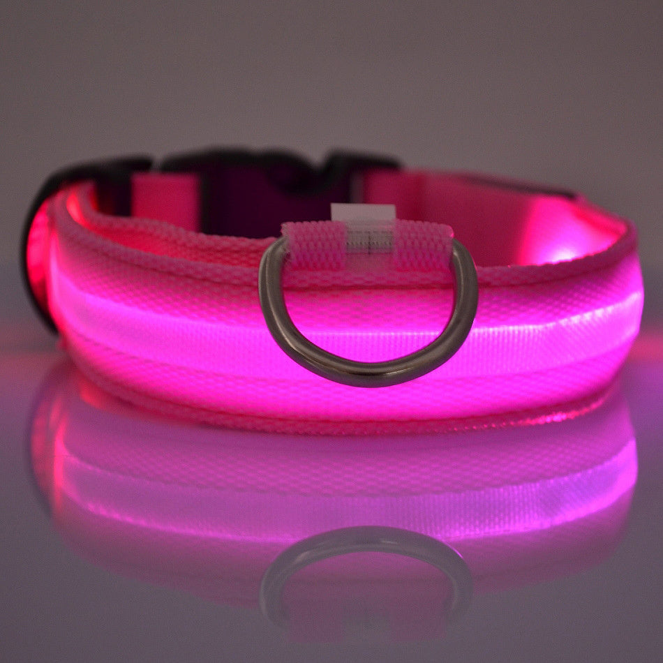 GlowGuard LED Safety Leash & Collar