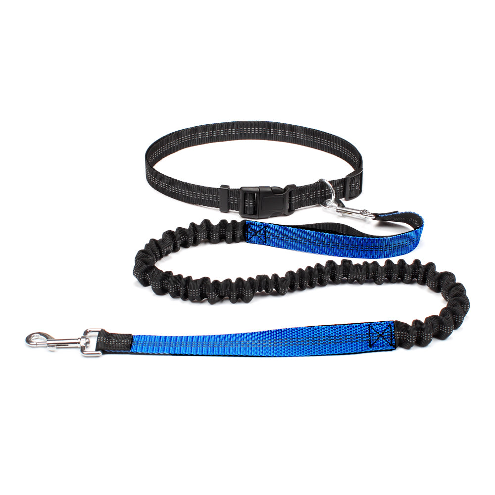 FreeStride Hands-Free Dog Leash