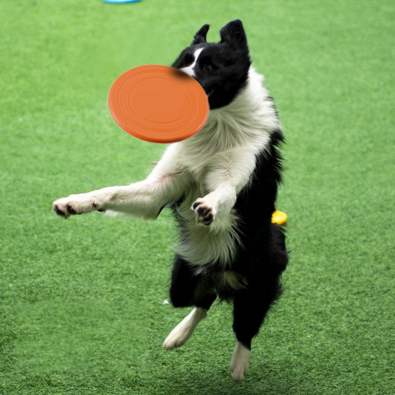 SkyBounce Silicone Flying Disc