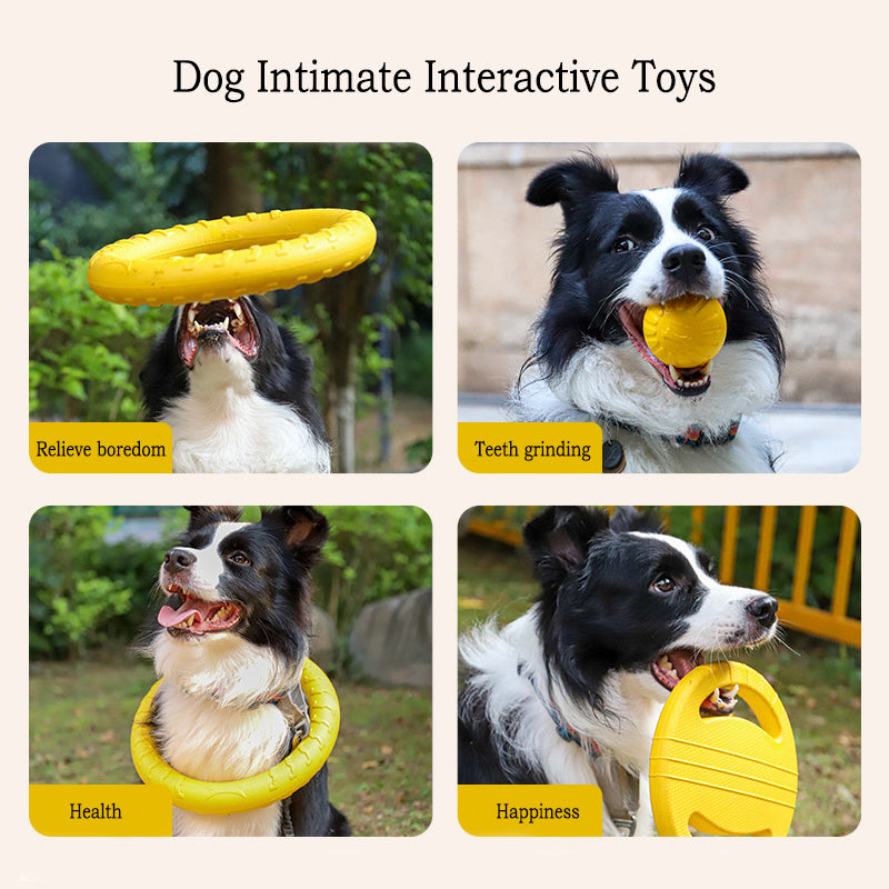 PowerChew EVA Dog Toy Set