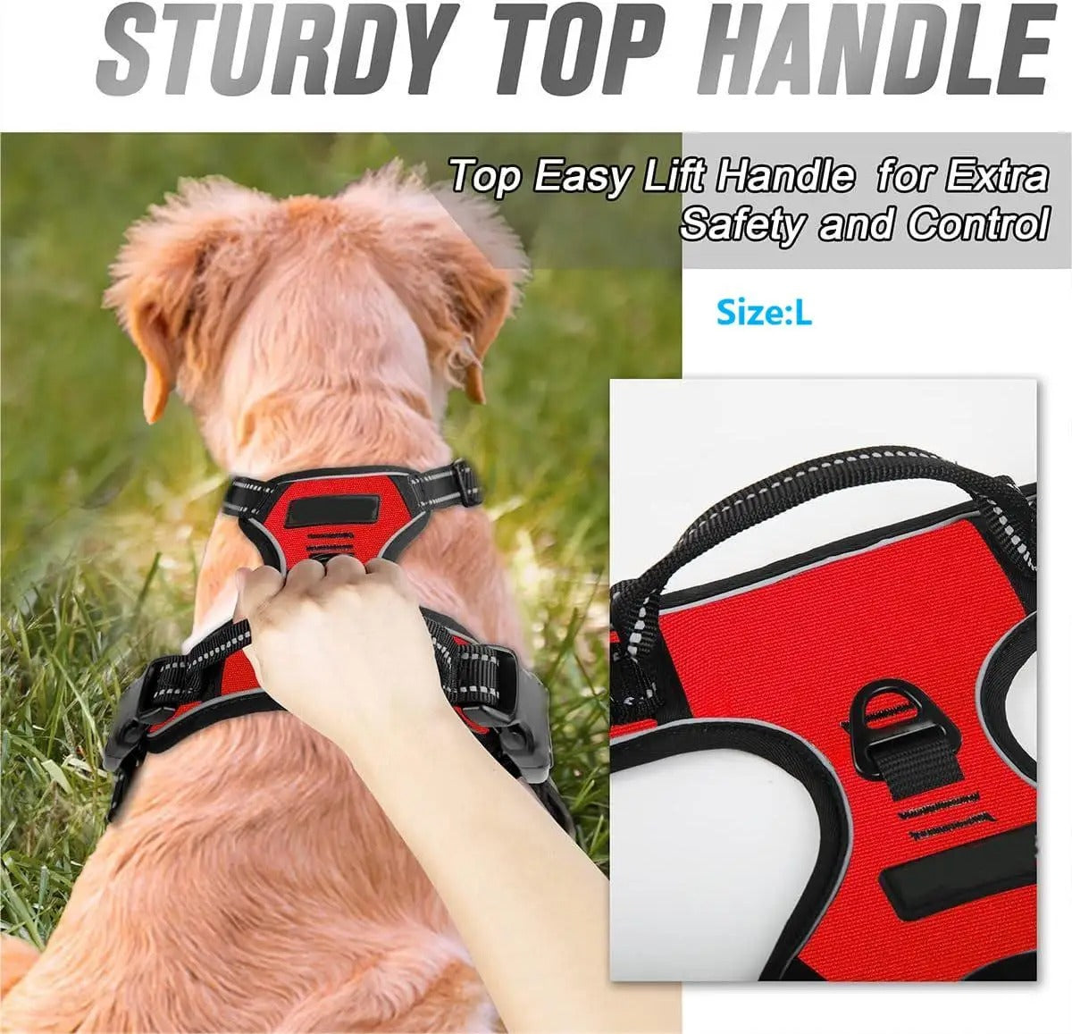UrbanFit Harness & Leash Set