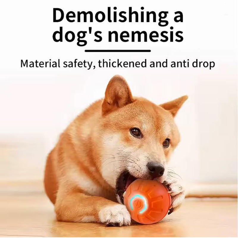 SmartPlay Interactive Pet Ball