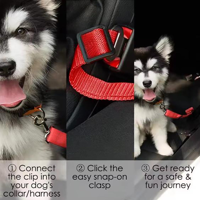 SafeRide Dog Car Seat Belt