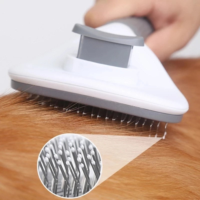 CloudCare Self Cleaning Brush