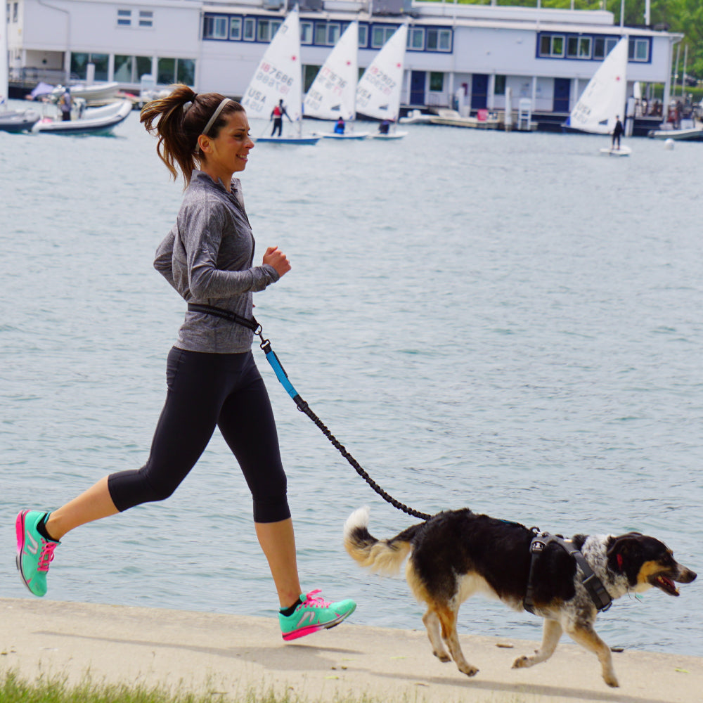 FreeStride Hands-Free Dog Leash