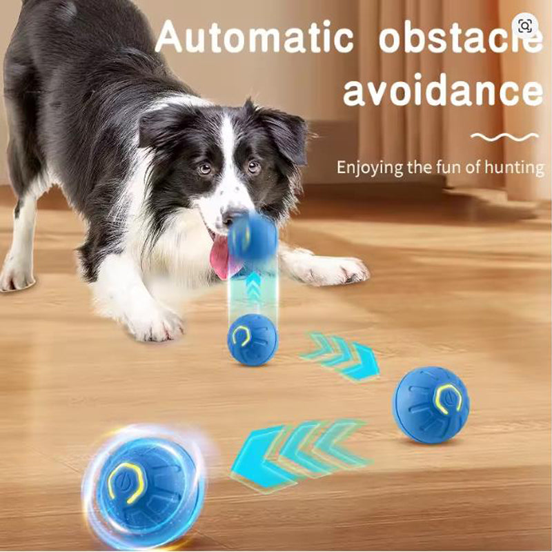 SmartPlay Interactive Pet Ball
