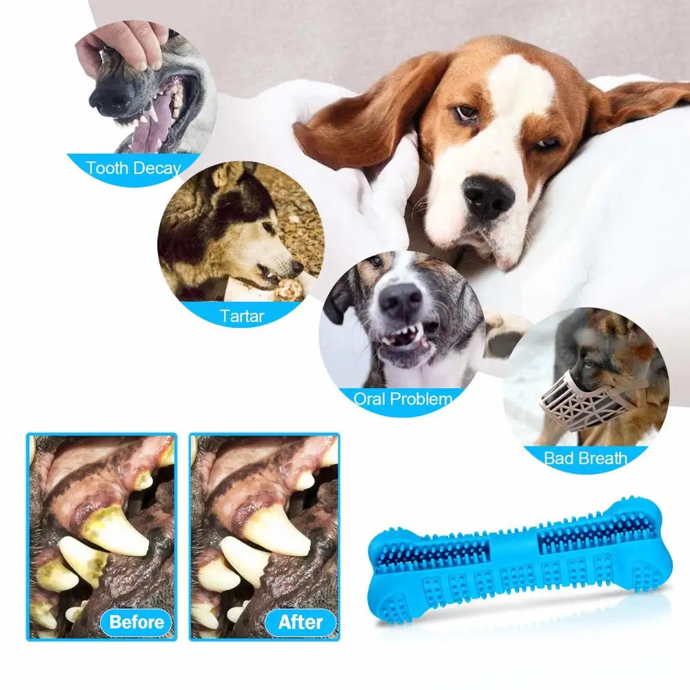 DentalChew Rubber Toothbrush Toy