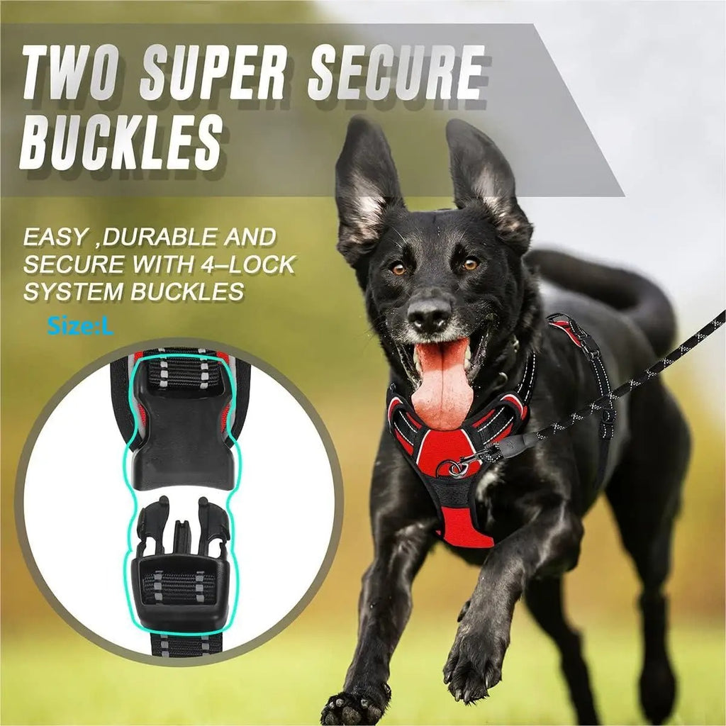 UrbanFit Harness & Leash Set
