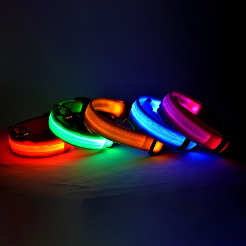 GlowGuard LED Safety Leash & Collar