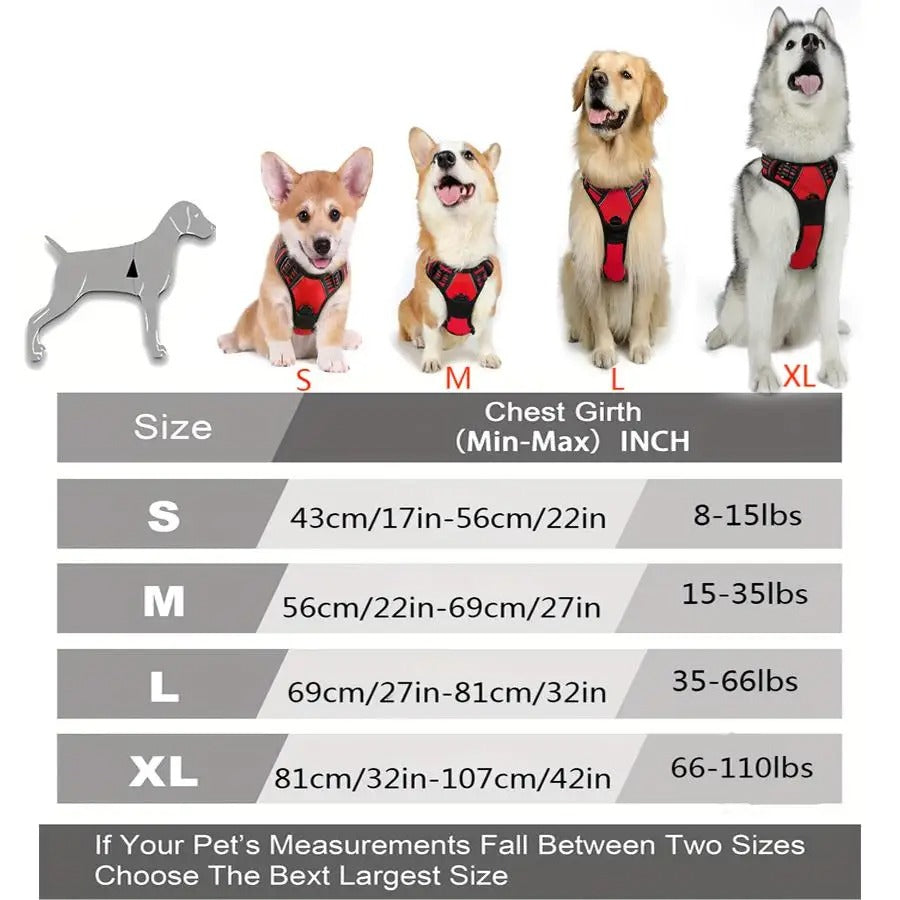 UrbanFit Harness & Leash Set
