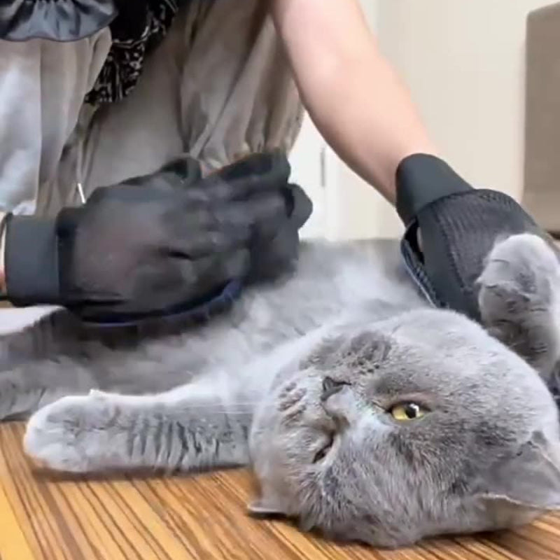 CozyCare Pet Grooming Gloves